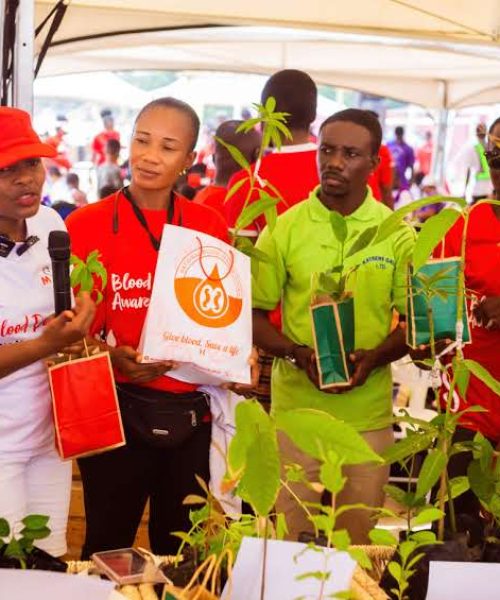 Kwaaba Foundation gave out 500 seedlings to Donors.